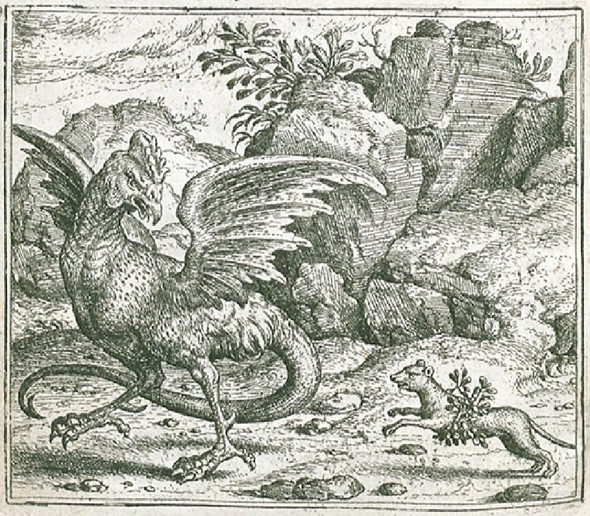 The basilisk and the weasel, by Marcus Gheeraerts the Elder.