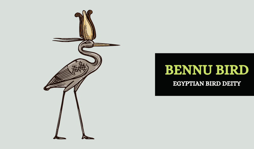 Bennu bird Egypt symbol