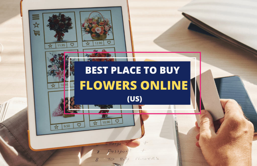 Best Place to Buy Flowers Online (USA) Symbol Sage