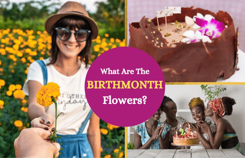 Birth month flowers list