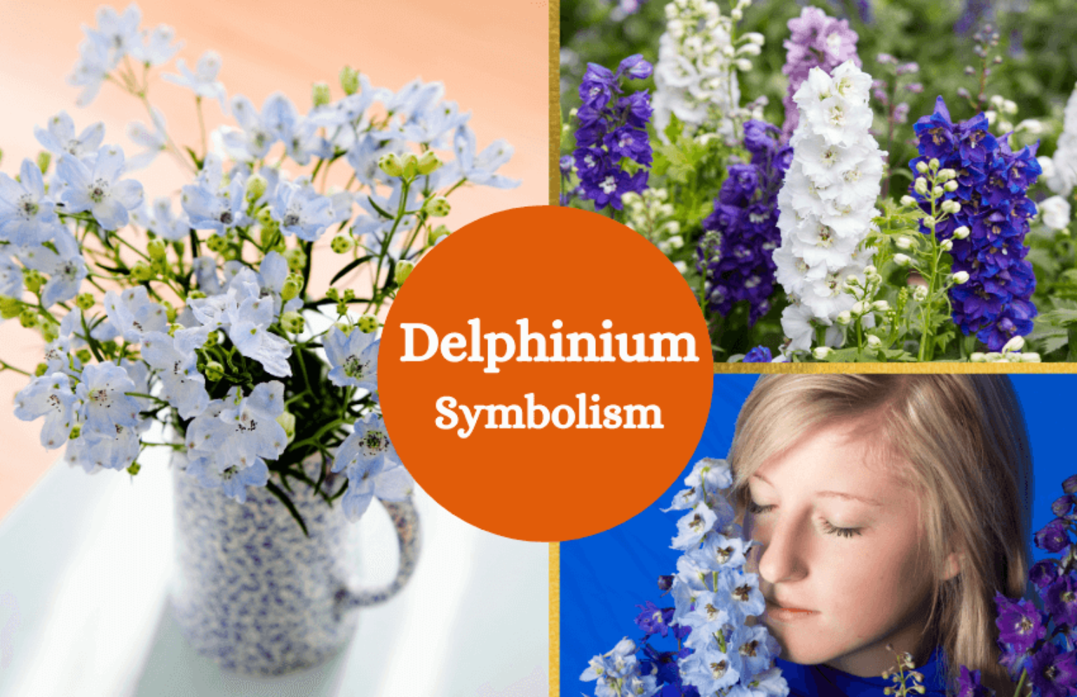 Delphinium Symbolism Positivity, Levity, & Openness