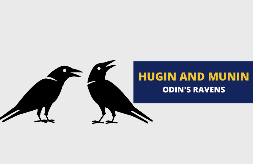 Hugin and Munin odin's ravens