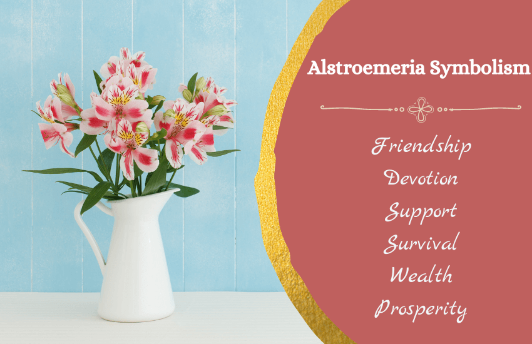 Alstroemeria Meaning and Symbolism Symbol Sage