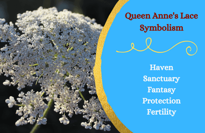 Symbolism of queen anne's lace