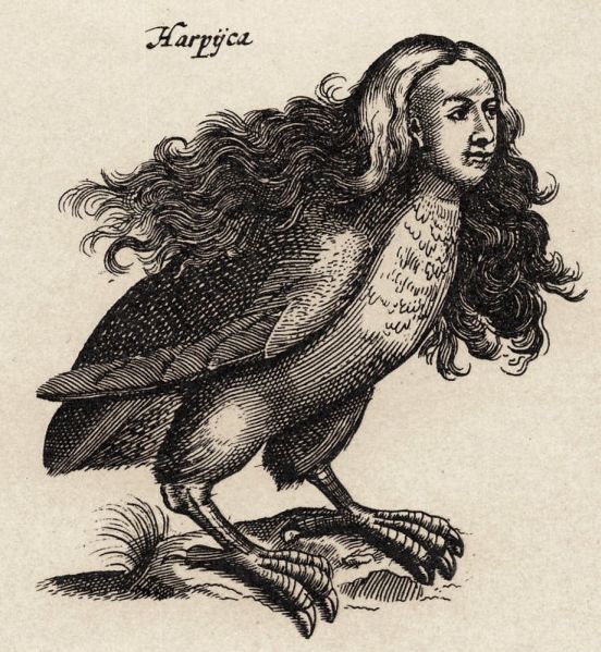 A harpy