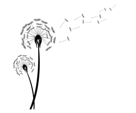 Dandelion Tattoo Meaning (with Images) - Symbol Sage