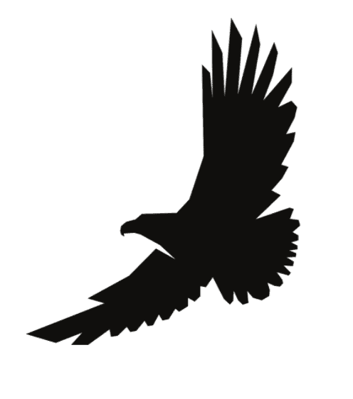 The Flying Eagle Illustration On Black Background Stock Illustration -  Download Image Now - Eagle - Bird, Retro Style, Tattoo - iStock