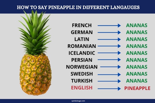 Pineapple meaning