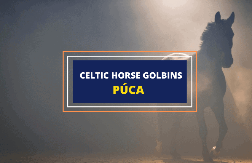 Puca Irish horse goblins mythology