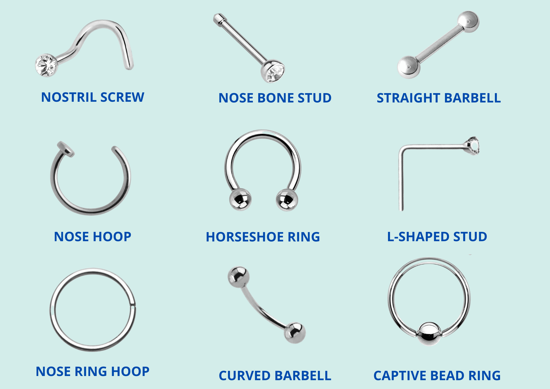 Types of nose jewelry