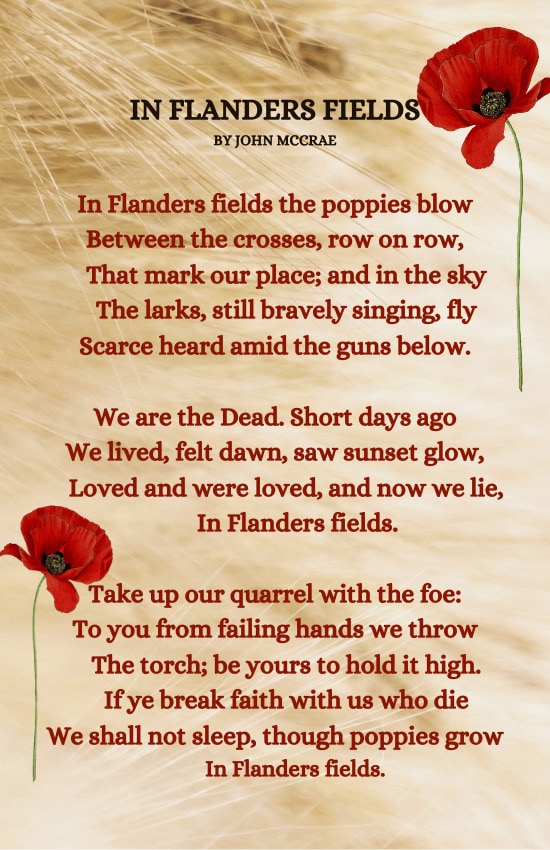Flanders field poppy poem