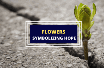 Flowers that symbolize hope