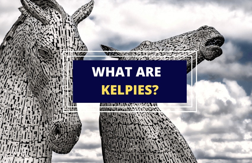 What are kelpies