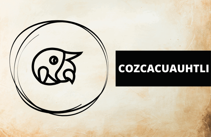 Cozcacuauhtli Aztec symbol meaning
