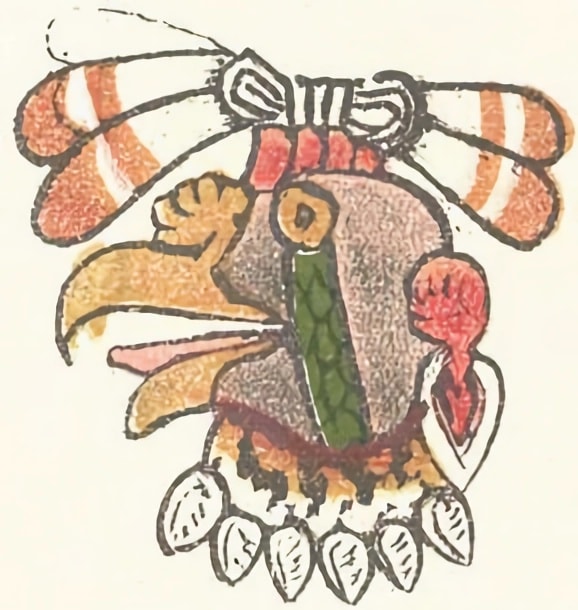 The Aztec day sign cozcacuauhtli (vulture)