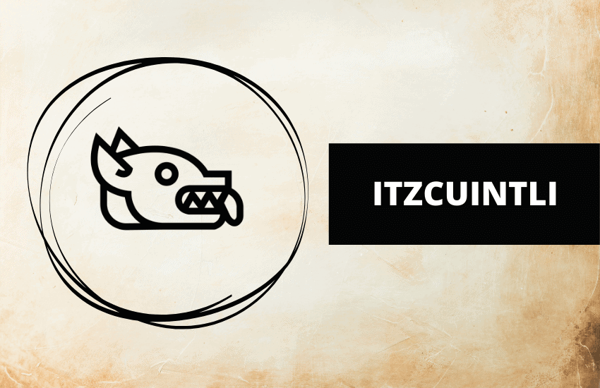 Itzcuintli meaning and symbolism Aztec