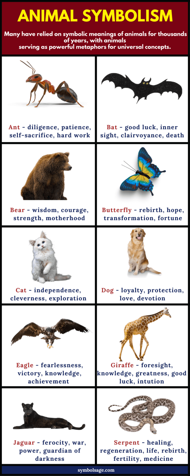 animal-symbolism-an-a-to-z-guide-symbol-sage