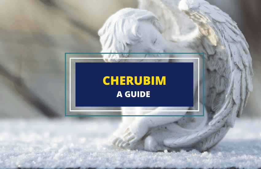 Cherubim angels guide