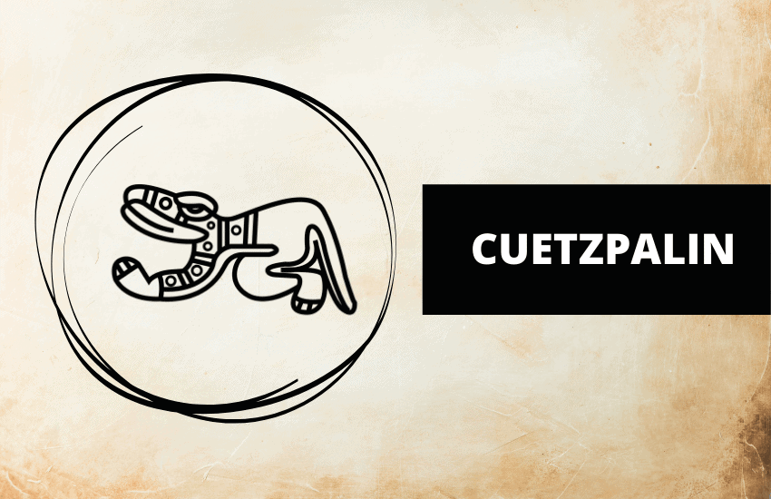 Cuetzpalin meaning and symbolism