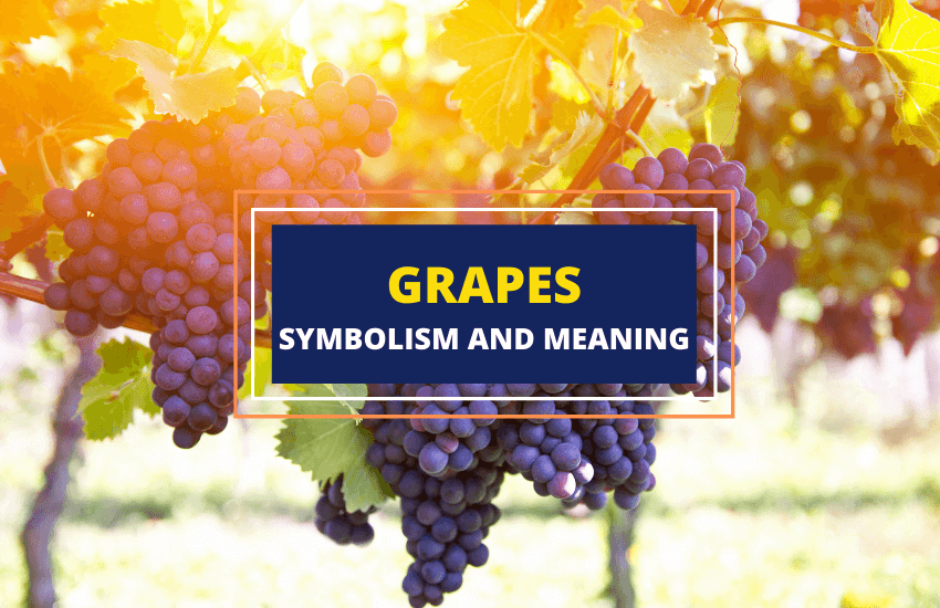 Grapes symbolism meaning