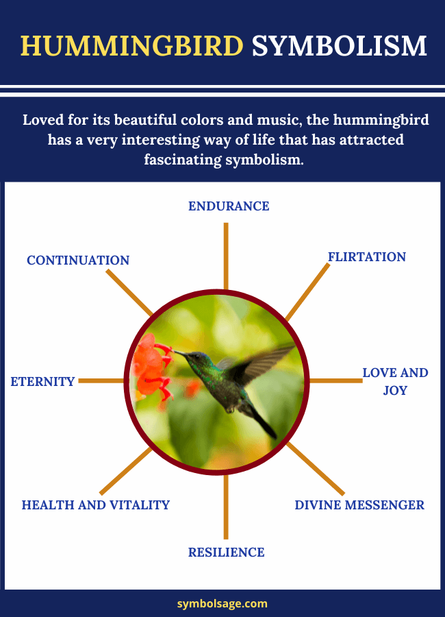 Hummingbird meaning and symbolism