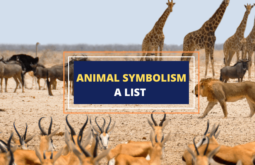 Animal Symbolism - An A-to-Z Guide - Symbol Sage