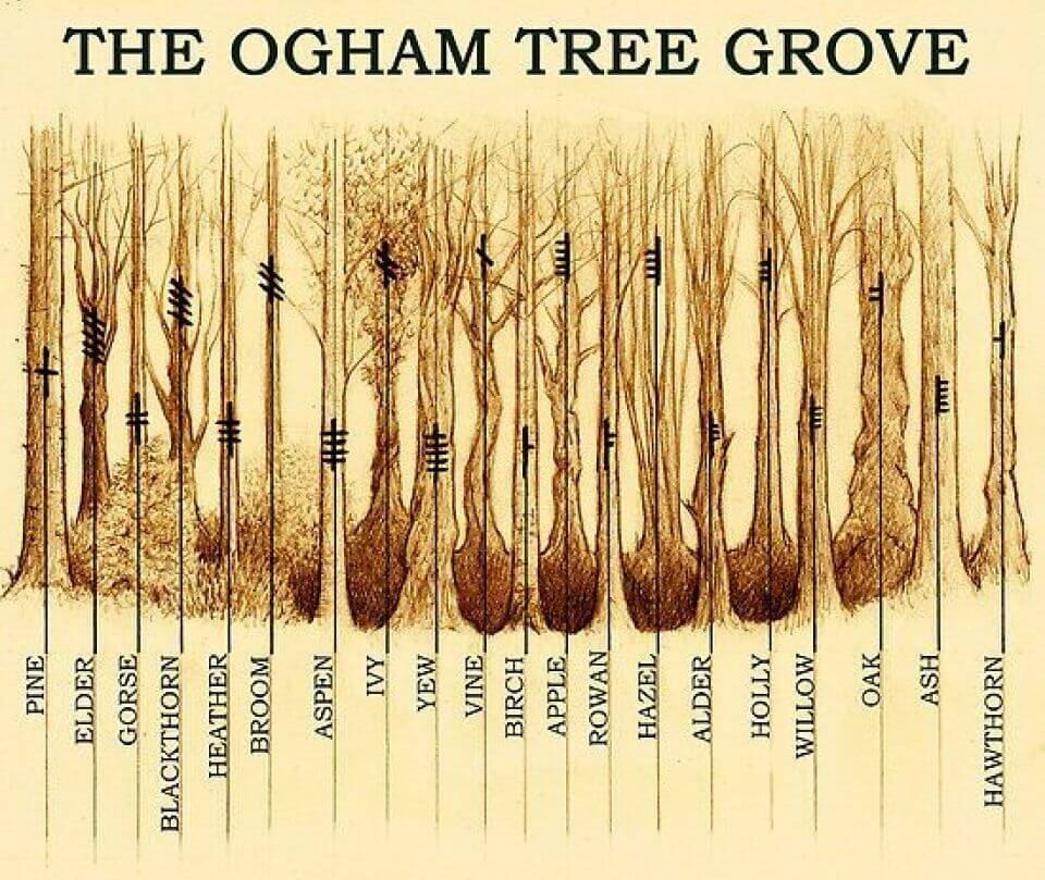 Ogham tree yuri