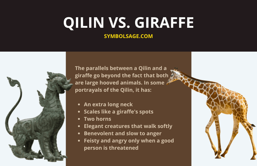 Qilin vs giraffe