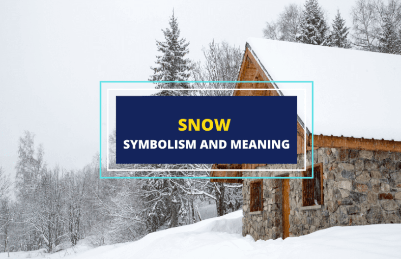 Snow Meaning and Symbolism Symbol Sage