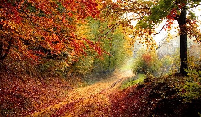 Symbolism of autumn