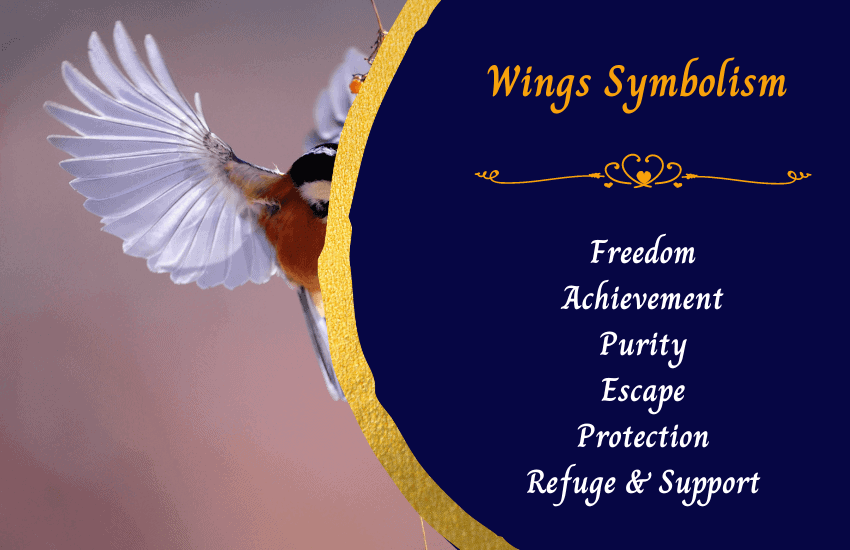 Symbolism of wings