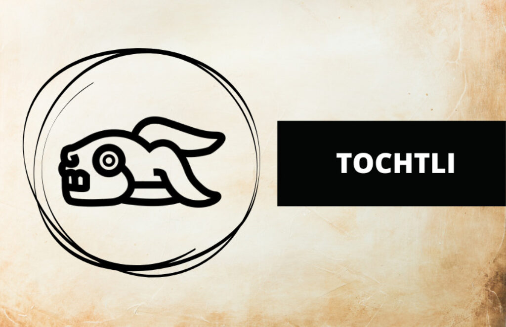 Tochtli's Tale Unraveling the Aztec Rabbit Symbolism Symbol Sage