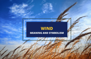 Wind - Meaning and Symbolism - Symbol Sage