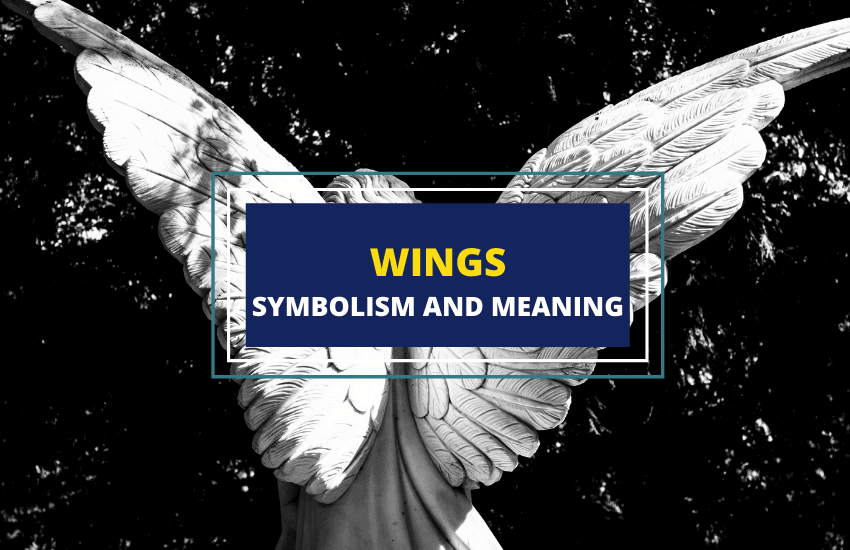 Wings symbolism and meaning