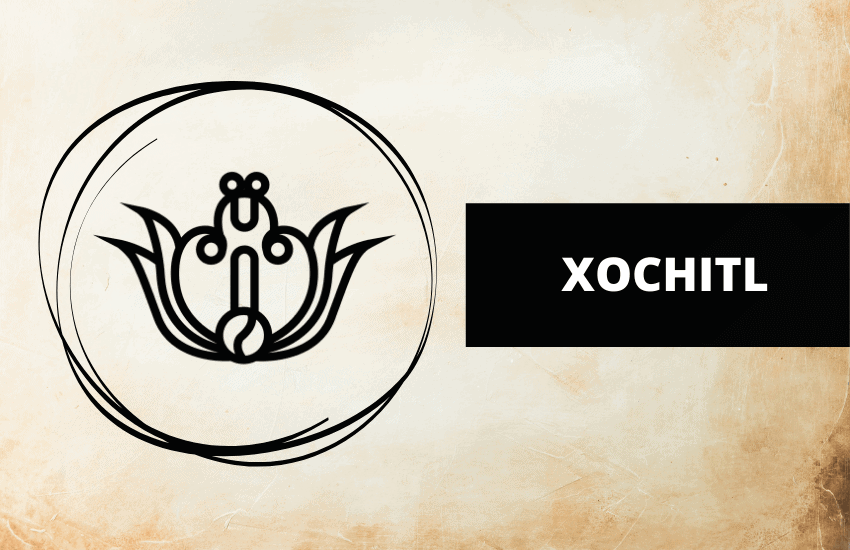 Xochitl Aztec symbol
