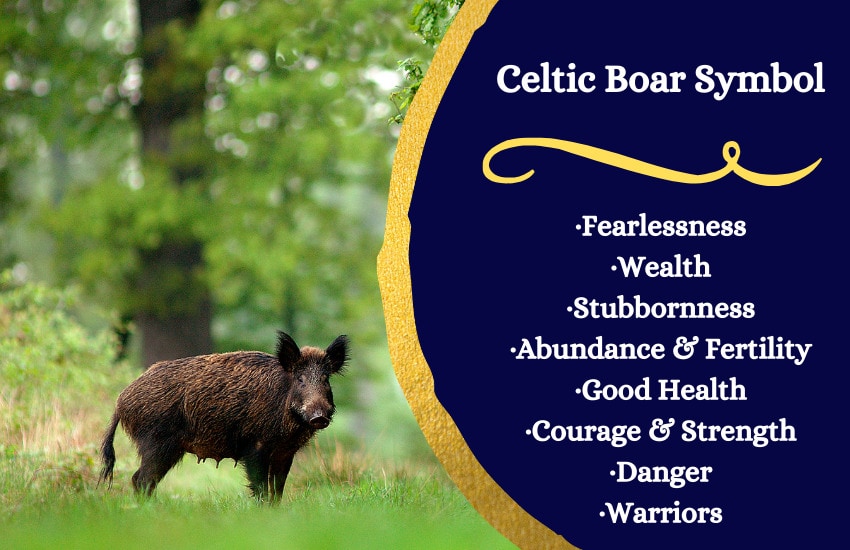 Celtic boar symbolism