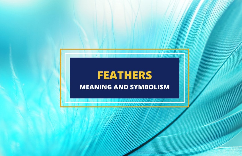 Feathers meaning and symbolism