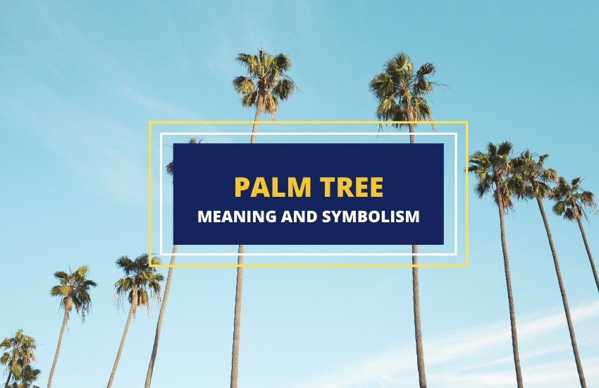 Palm tree meaning