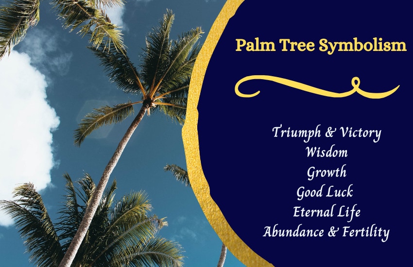 Palm tree meaning