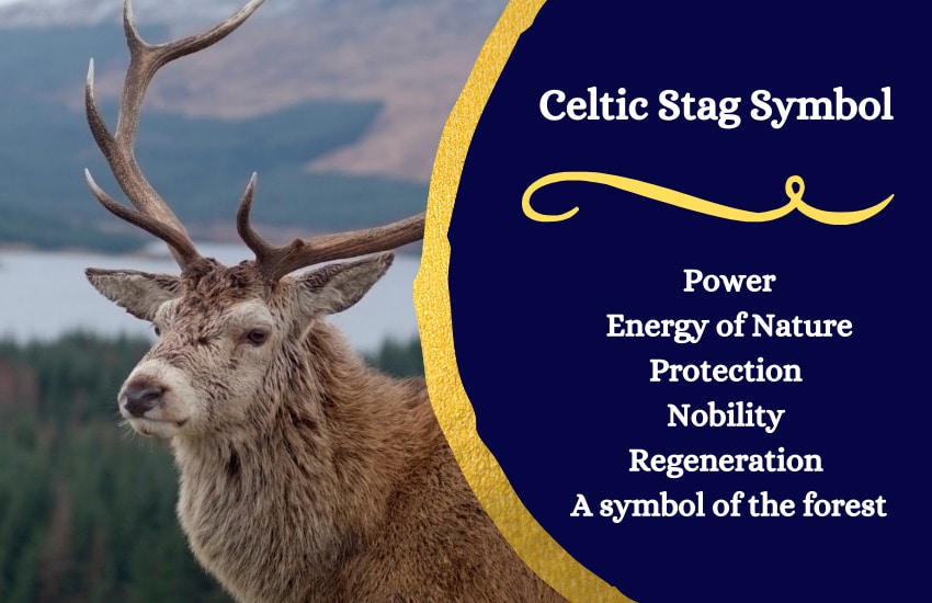 Stag Symbolism – Celtic Symbol of Power - Symbol Sage