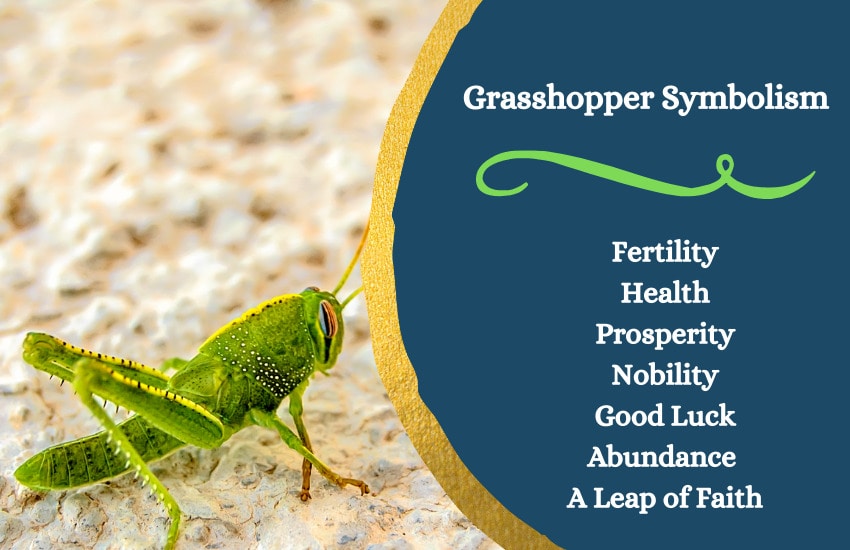 grasshopper symbolism and meaning