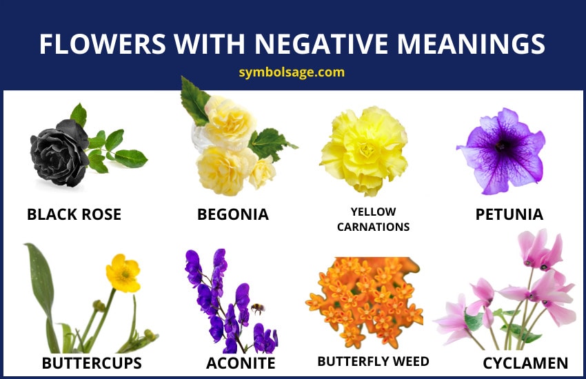 flowers with negative meanings
