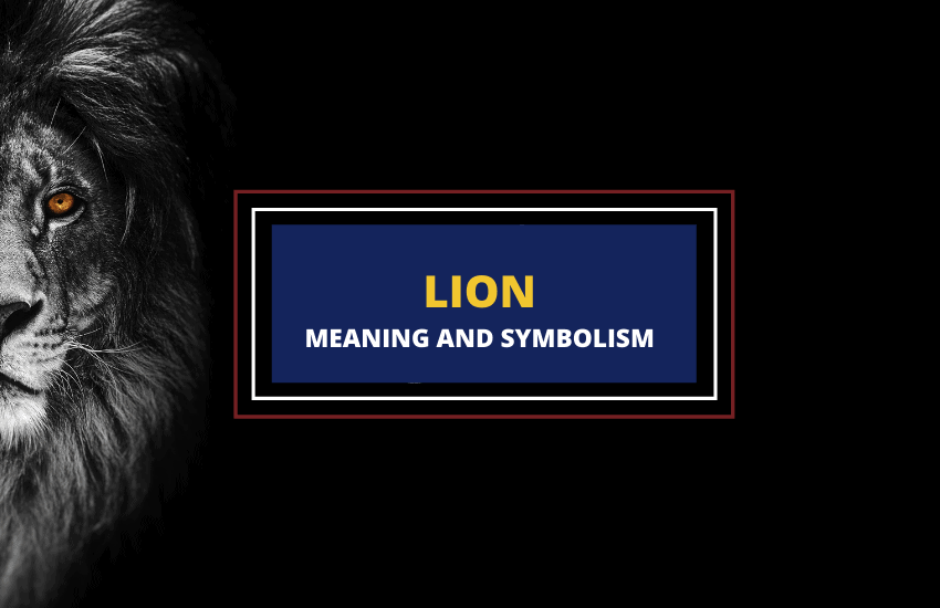 Lion symbolism meaning