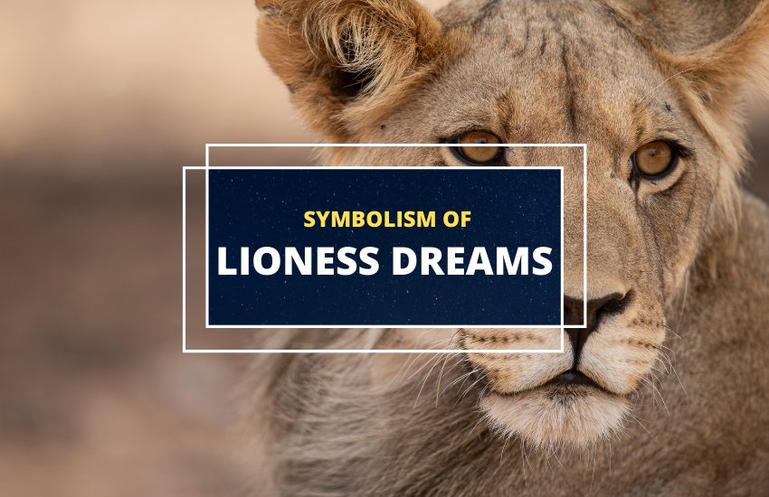 Lioness dream meaning