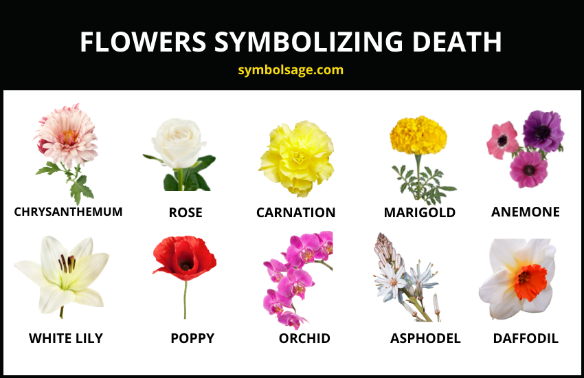 Flowers symbolizing death