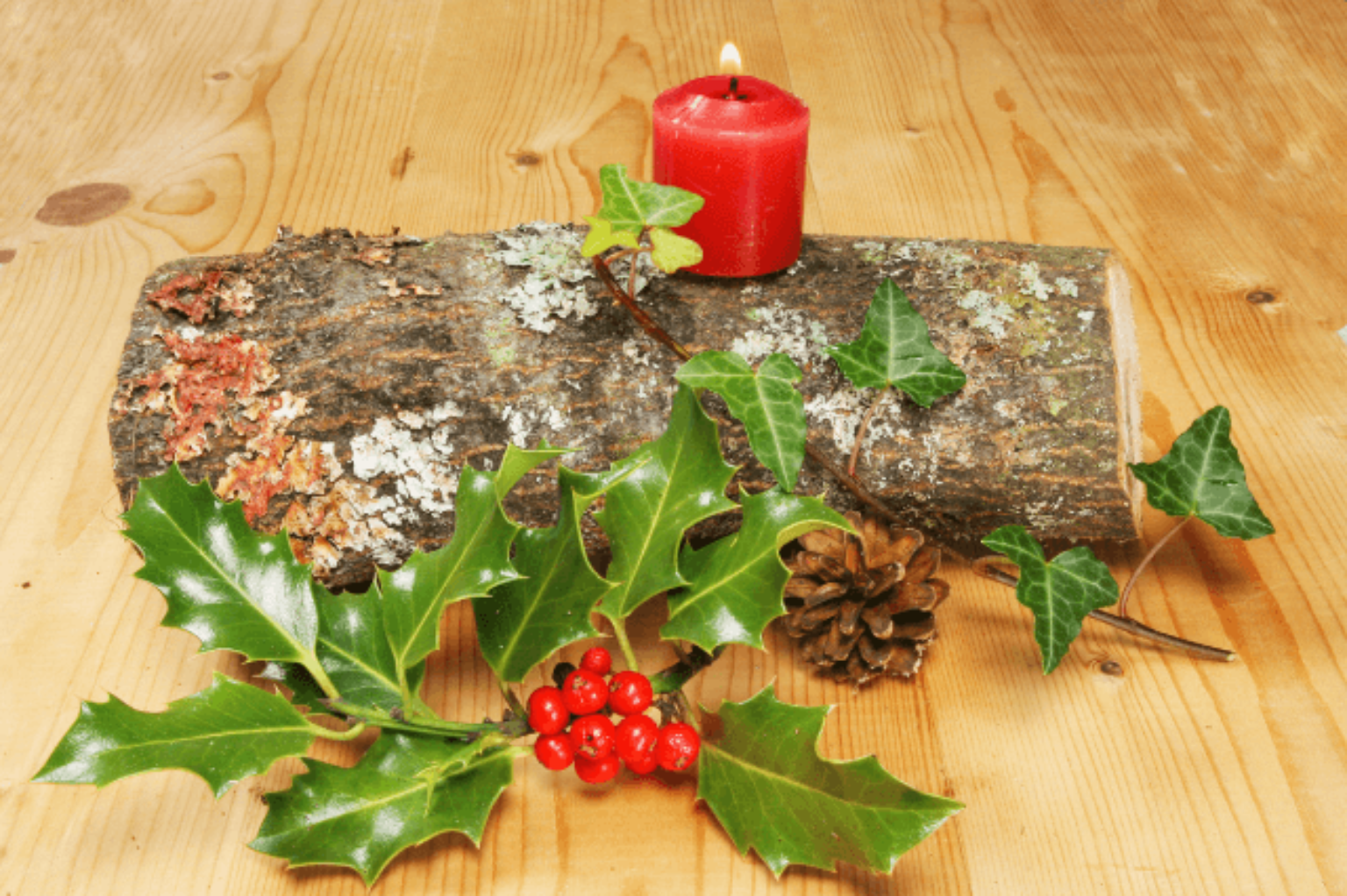 Yule Festival Winter’s Cozy Tapestry of Traditions Symbol Sage
