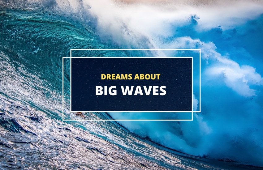 Dreaming of big waves