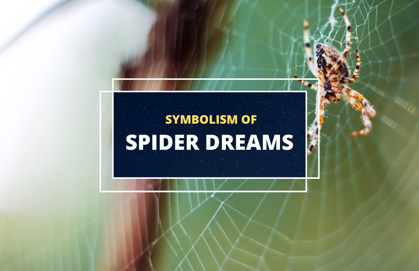Dreaming of spiders meaning