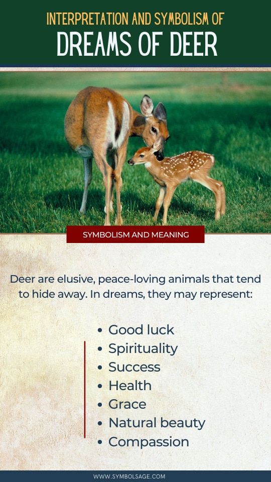Dreams about Deer – Possible Interpretations - Symbol Sage