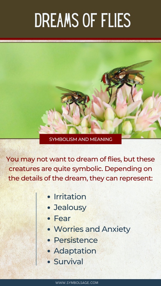 Flies in dream meaning